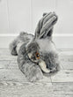 Grey rabbit